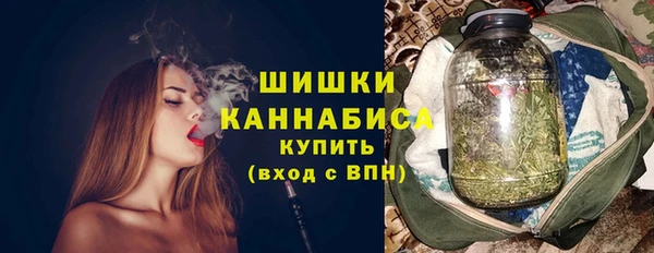 тгк Богородицк