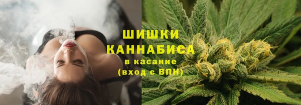apvp Аркадак