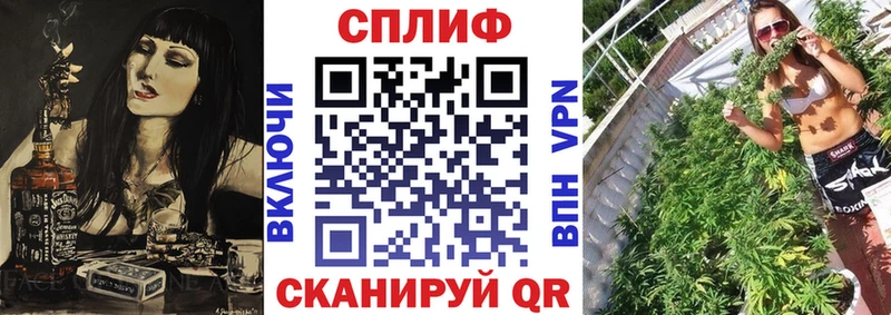 Бошки Шишки конопля  Сосновка 